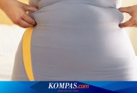 Kaitan Antara Stres Dan Perkembangan Penyakit Fisik