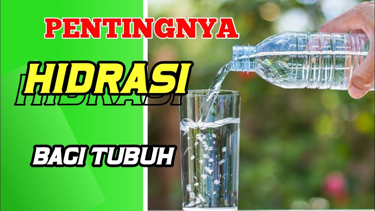Pentingnya Hidrasi Dalam Program Diet Yang Sukses