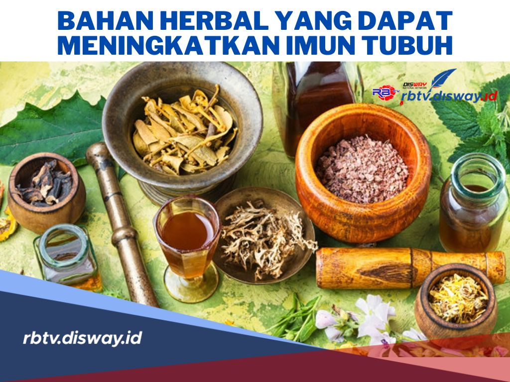 Apa Saja Obat Yang Dapat Meningkatkan Sistem Kekebalan Tubuh
