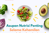 Nutrisi Yang Diperlukan Saat Hamil Muda